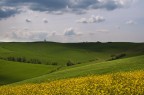 Colline toscane........ Colline toscane........
