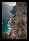 Vertigo Vertigo
