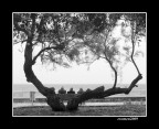 ...CON LA MENTE NAVIGAR... ...CON LA MENTE NAVIGAR...