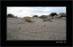 Sand Sand