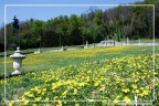 Villa Della Porta Bozzolo Villa Della Porta Bozzolo