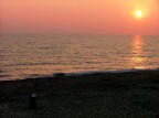 spiaggia affollata con coniglietto quasi fuori dal cilindro spiaggia affollata con coniglietto quasi fuori dal cilindro