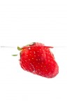 Strawberry Strawberry
