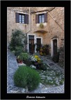 scorcio botanico scorcio botanico