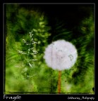 Fragile @ ZioMauri29