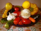 028 040509 VERDURE ..... 028 040509 VERDURE .....
