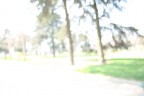 park park