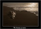 The beauty of nature The beauty of nature