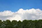 Dalla terra al cielo Dalla terra al cielo