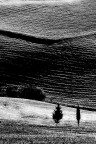 Paesaggio Paesaggio