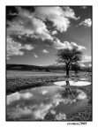 ...RIFLESSI.. ...RIFLESSI..