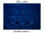 Blue Fluid Blue Fluid
