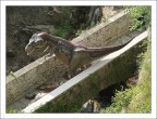 T-Rex... T-Rex...