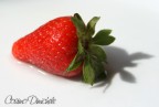 Fragola Fragola