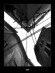 alleYs alleYs