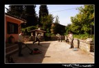 C'è chi lavora e chi gioca C'è chi lavora e chi gioca
