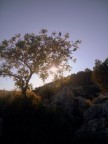 raggi di sole raggi di sole