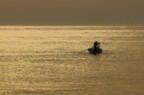 gold sea..... gold sea.....