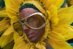 girasole!! girasole!!