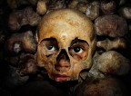 skull