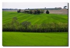 Grano Grano