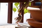 Feeding Feeding