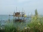 16-05-2009 16-05-2009