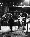 Rain Down Rain Down