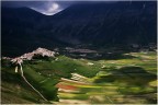 Castelluccio primi fiori Castelluccio primi fiori