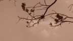 C'era vento...vento di tempesta... C'era vento...vento di tempesta...