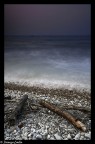 SEA DREAM SEA DREAM