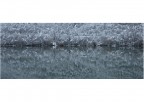 Specchio di neve Specchio di neve
