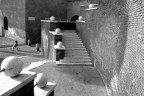 Compitino Compitino