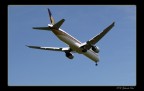 Volo Volo