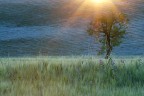 Raggi di sole Raggi di sole