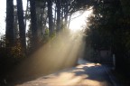 luce luce