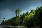 Il verde vince Il verde vince