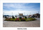 Fiori sull piazza Fiori sull piazza