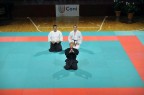 Aikido Aikido
