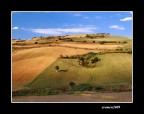 ...DALL' ALTO... ...DALL' ALTO...