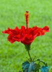 3189_t-p 3189_t-p