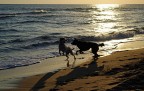 Il mare i giochi e le foto... Il mare i giochi e le foto...