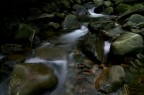 fiume fiume
