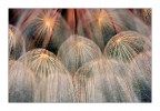 Natural fires (colori) Natural fires (colori)