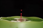 Blob... Blob...