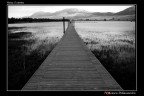 Verso il centro Verso il centro