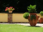 Perfect garden Perfect garden