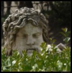 Suggerimenti e critiche sempre ben accetti