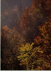 Colori d'autunno Colori d'autunno