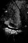 Le castagne sul fuoco Le castagne sul fuoco